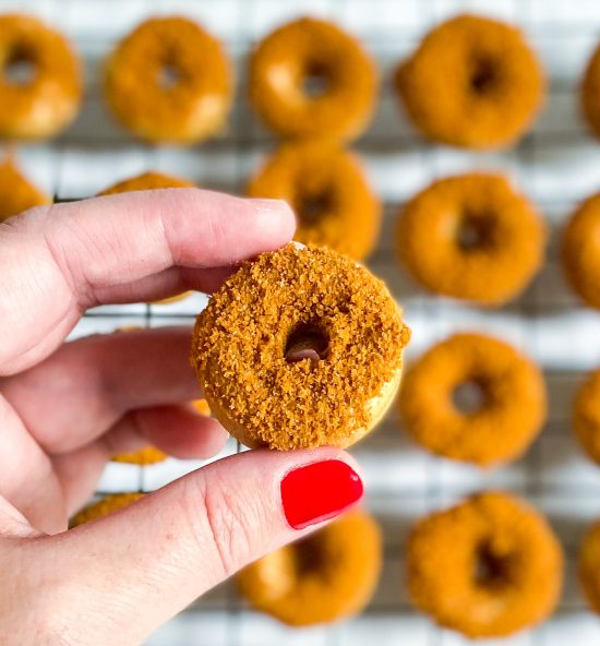 Baked Mini Doughnuts Recipe